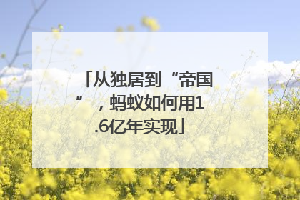 从独居到“帝国”，蚂蚁如何用1.6亿年实现
